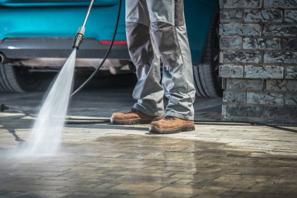 Best Gutter Cleaning and Brightening in Elkton, KY