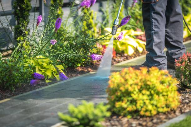 Best Brick and Stone Cleaning in Elkton, KY