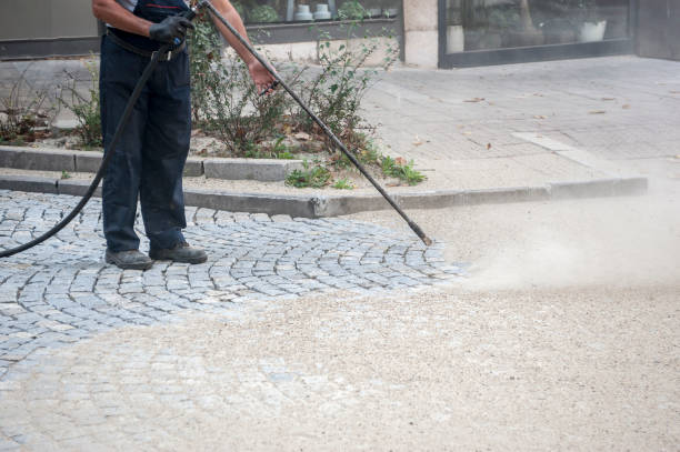 Best Roof Cleaning and Mildew Removal in Elkton, KY