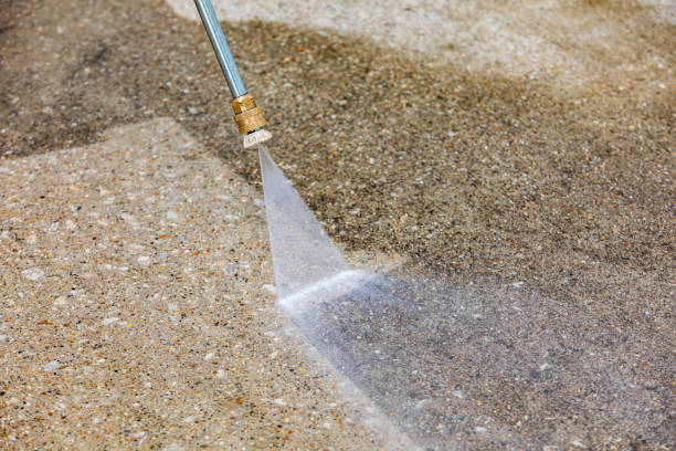 Best Residential Pressure Washing in Elkton, KY
