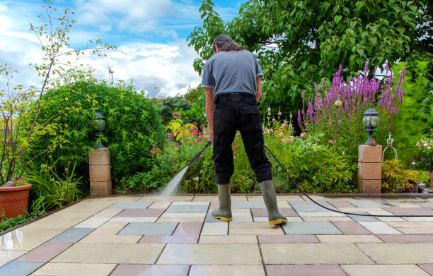 Best Soft Washing for Delicate Surfaces in Elkton, KY